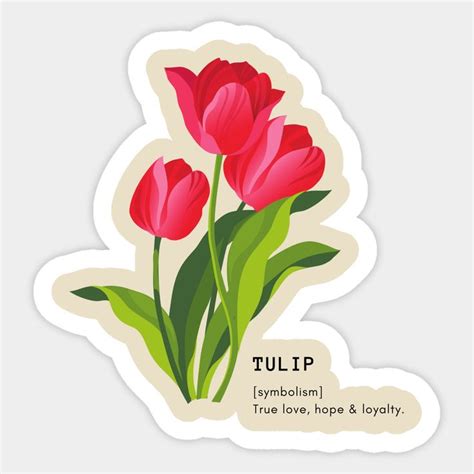 Tulip Flower Symbolism Sticker Symbolism Cool Stickers Floral Stickers Scrapbook