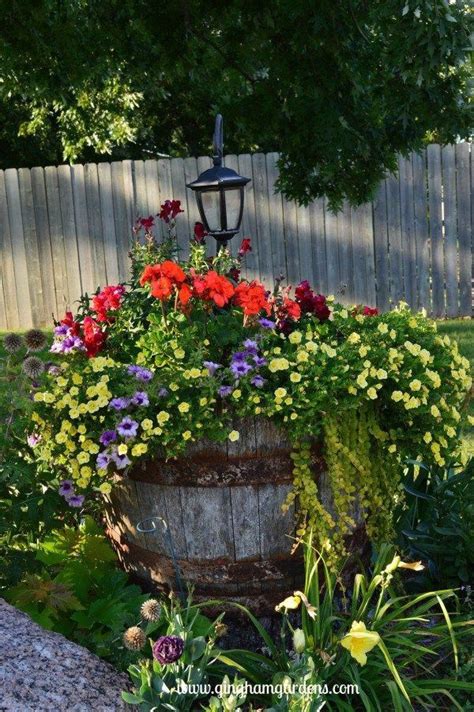 Whiskey Barrel Planter Flower Gardens In September Containergardens Whiskey Barrel Planter