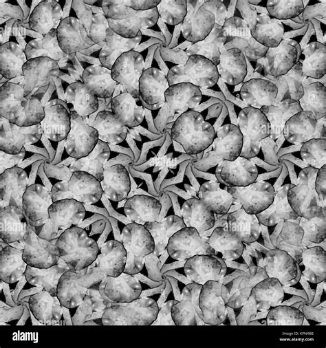 Intricate Abstract Pattern Stock Photo Alamy