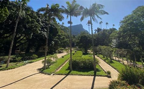 Jardim Botânico RJ como ir principais atrações e dicas