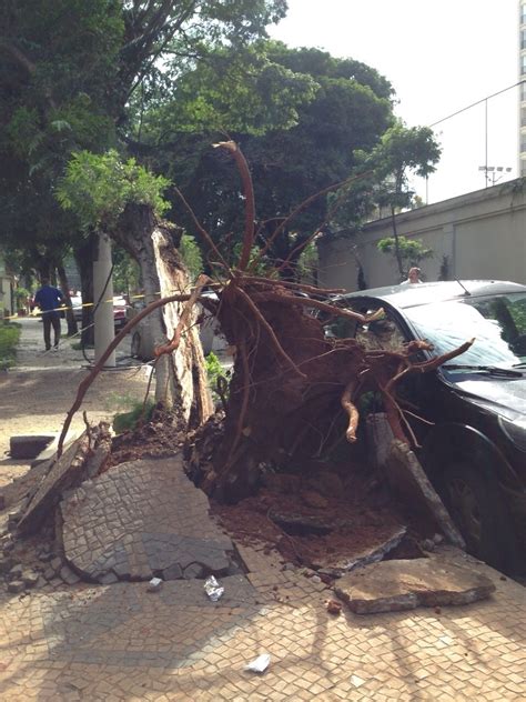 Chuva Derruba árvores E Provoca Alagamentos Em São Paulo 25122014