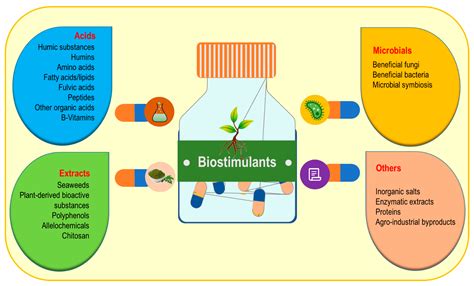 Cells Free Full Text Biostimulants For The Regulation Of Reactive