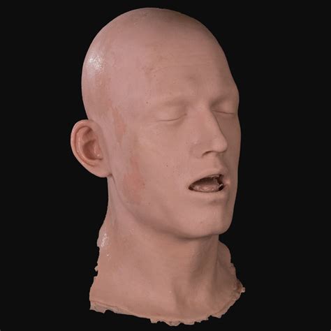 Hso Silicone Head Semi Finished Hww Museum Mannequins