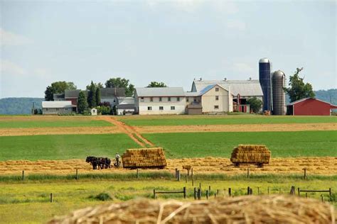 Killdeer Farm Guesthouse - Amish Farm Stay