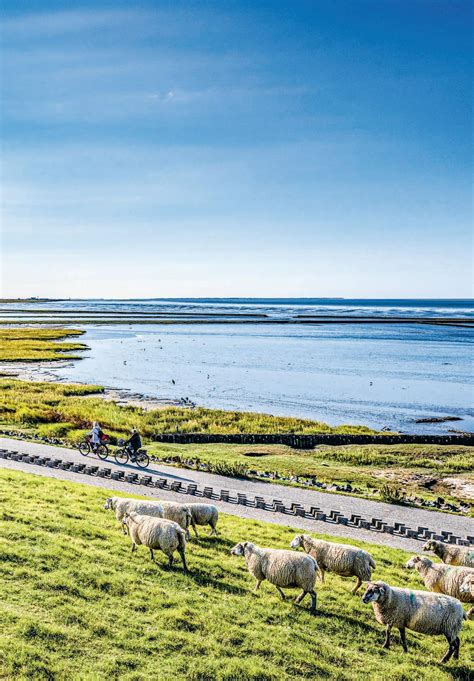 Dornum Ihre Gastgeber Frühling Sommer 2023 by Ostfriesland Tourismus