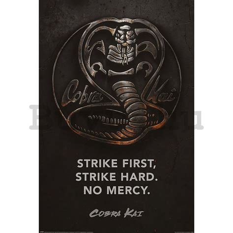 Poster Cobra Kai Metal RAKTÁRON Buvu hu