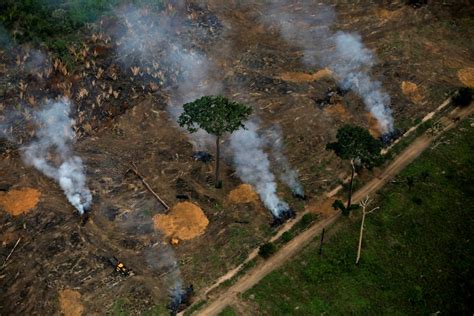 Desmatamento Na Amazônia Passa De 10 Mil Km² Entre Agosto De 2018 E