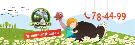 Мурманская "Страусиная ферма" | Время проведения экскурсий: Понедельник ...