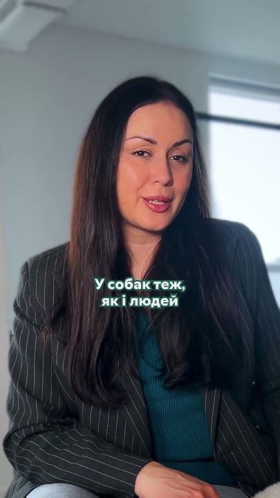 Їжа перед прогулянкою #домашніулюбленці #optimeal #оптіміл #пес #собака ...