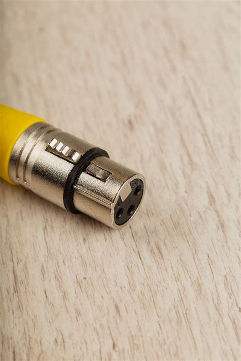 Female Xlr Connector For Microphone Connection Stock Photo Image Of