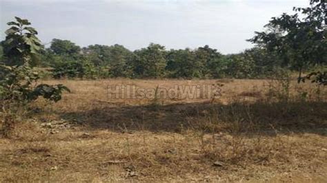 Cr Acres Agriculture Land For Sale In Kenjal Wai Mahabaleshwar