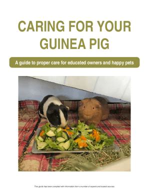 Fillable Online Guinea Pig Care Sheet Food Habitat Health Fax Email