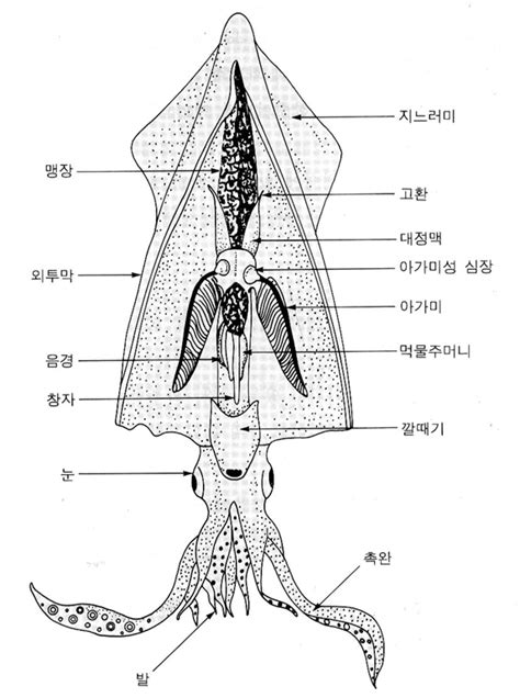 제품실험자료 주생물나라