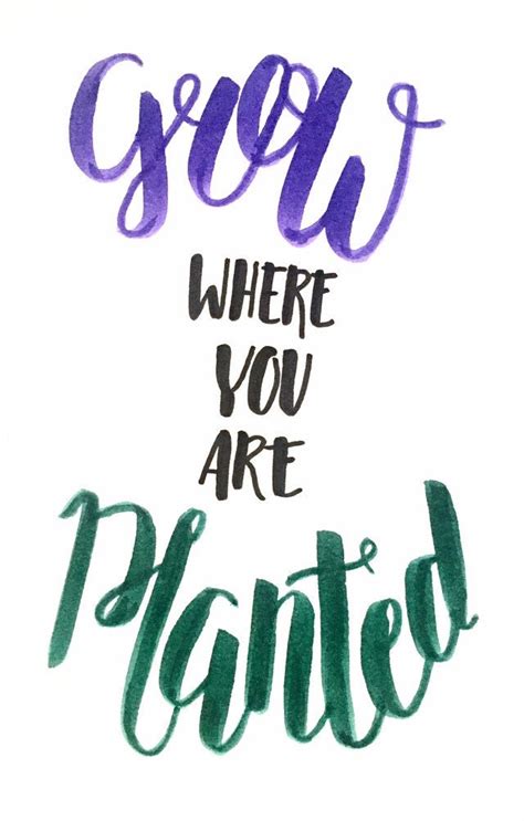 A Handwritten Modern Calligraphy Grow Where You Are Planted Etsy