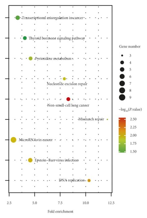 Gene Enrichment Analysis Cdk4 Download Scientific Diagram