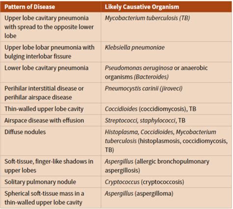 Imaging Test 1 10 Recognizing Pneumonia Flashcards Quizlet