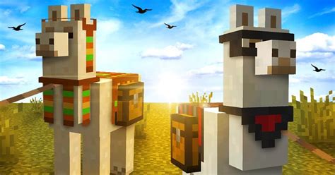 What Do Llamas Eat in 'Minecraft'? Here's How You Keep Them Well Fed