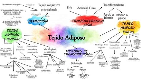 Tejido Adiposo Ppt