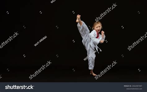Karate Asian Kid Photos Images And Pictures