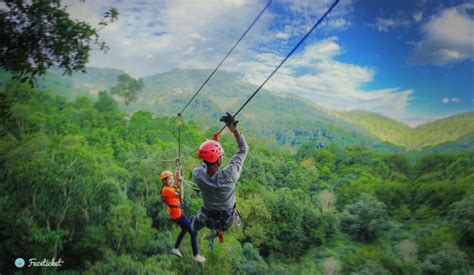 Pongyang Jungle Coaster Zipline Chiang Mai Ziplinefaceticket