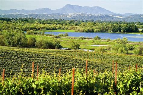 The 9 Best Wineries In Sonoma County Sonoma County Wineries Wine