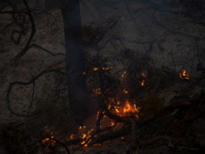 Incendios forestales azotan España mientras se prepara para tercera ola