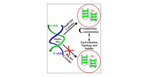 Chemical Interaction Regulates The Folding And Topology Of The G