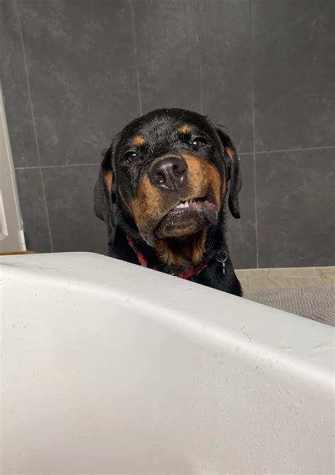 Japanese painter Fujita Tsuguharu at the beach with his wife Fernande