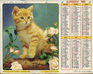 Calendrier Almanach du facteur Année 1989 Chat Chien Le grenier de Mimi