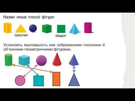Циліндр правильний Основи, бічна поверхня, висота - YouTube
