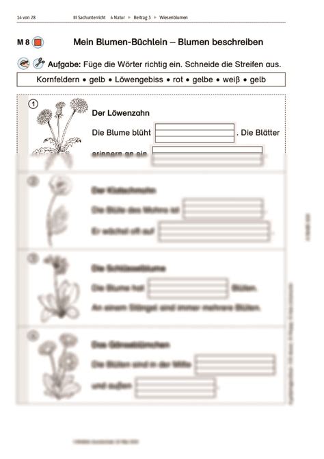 Wiesenblumen Entdecken RAAbits Online