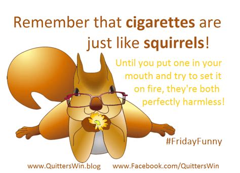 Of Squirrels and Cigarettes - QuittersWin
