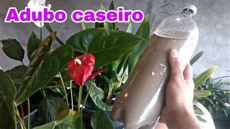 Adubo Caseiro Para Orqu Deas E Plantas Youtube