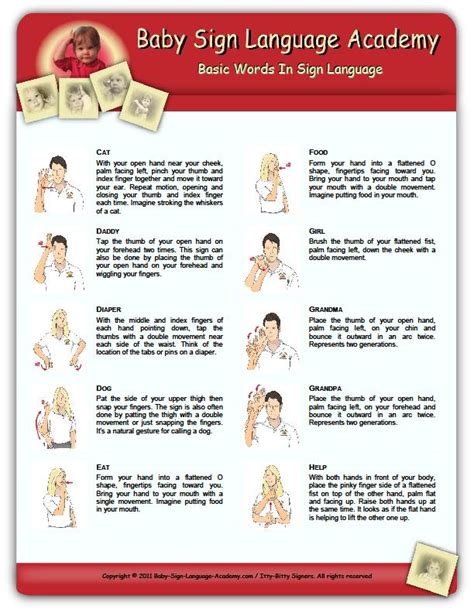 Routine Life Measurements Sign Language Basic Hands Signals Baby Asl Bsl