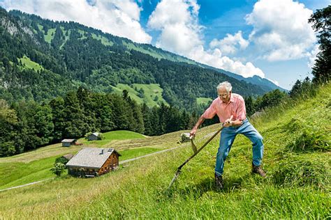 Grass Scythe Cutting Demonstration