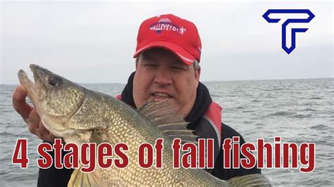 Fall Walleye Fishing The 4 Stages You Need To Know What Changes And