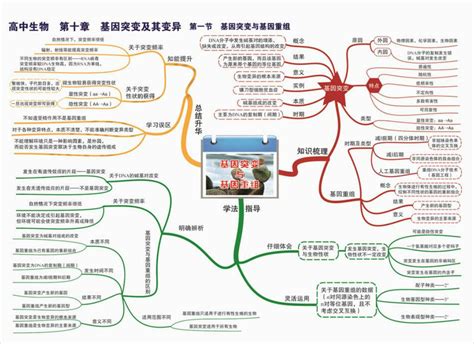 生物必修二第五章思维导图怎么做？简单思维导图分享知犀官网