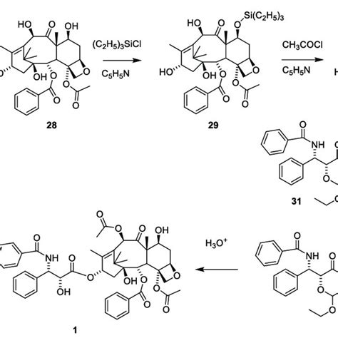 Semi Synthetic Synthesis Of Paclitaxel 1 From The Easy Available