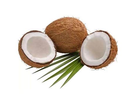 Coconut Comprehensive Processing Insight-How to Process Coconut