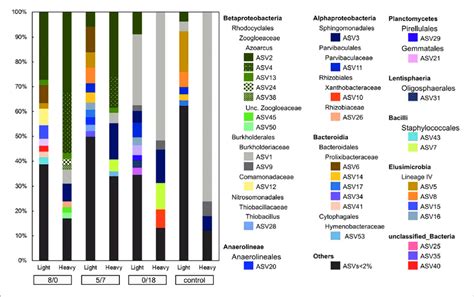 Asvs Amplicon Sequencing Variants Diversity In Light And Heavy