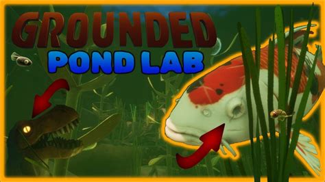 Grounded Pond Lab What Is Dr Wendell Hiding Youtube