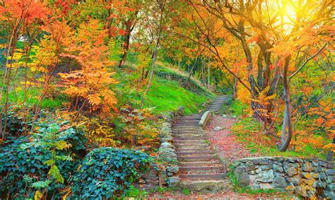 National Botanical Garden Of Georgia Tbilisi