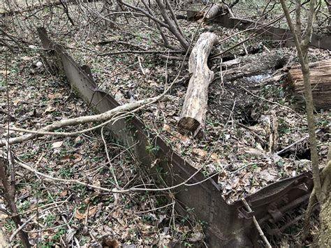 Georgetown Branch Odyssey | The Georgetown Branch