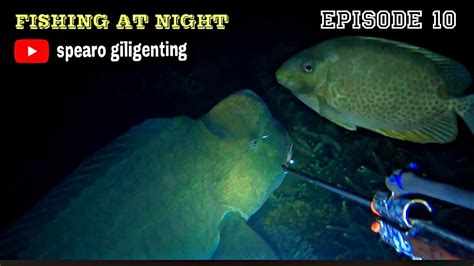 NIGHT SPEARFISHING EPISODE 10 FISH HUNTING AT NIGHT YouTube