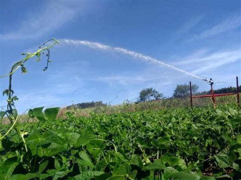 Agricultura irrigada é a chave para aumentar produtividade e gastar menos