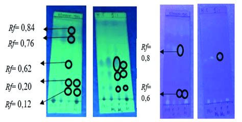 A The Tlc Galangal Extract Under The Uv 254 Lamp And B Tlc Under The Download Scientific