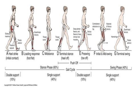 Influence Of Profession On Gait Pattern And It’s Analysis Ijfmts