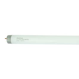 Eurolux Fluorescent Tube Ft T W Cool White Everyshop