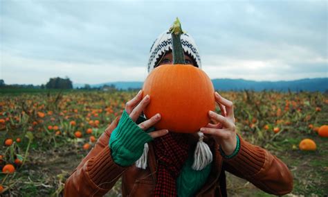 Pumpkin Patches in and Near Portland | The Official Guide to Portland