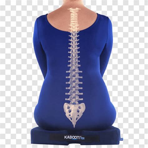 Coccyx Lumbar Coccydynia Cushion Sitting Pain Cushions Transparent Png